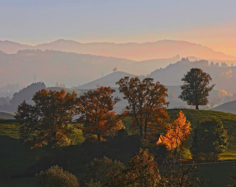 beautiful spring sunset in hirzel over a forrest hill, hirzel spring forest sunset 4k