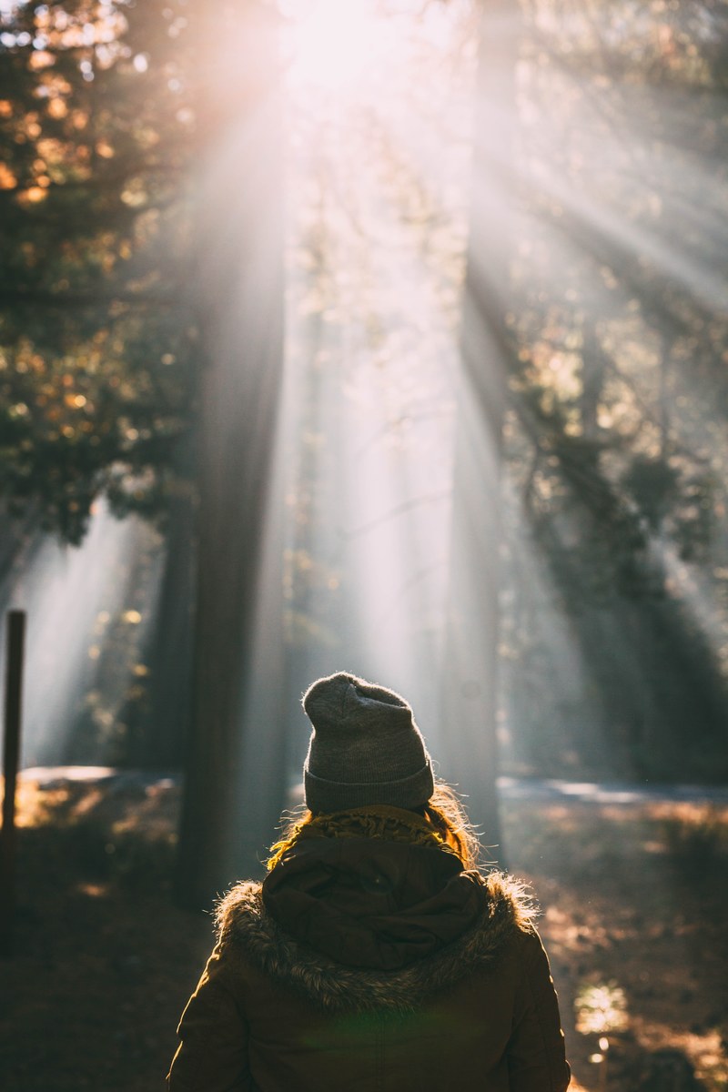 a woman in a beanie standing back to camera under trees in yosemite valley, in yosemite on a sunny day 4k