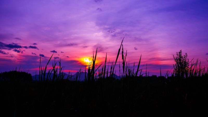 twilight, grass, sky, 4k