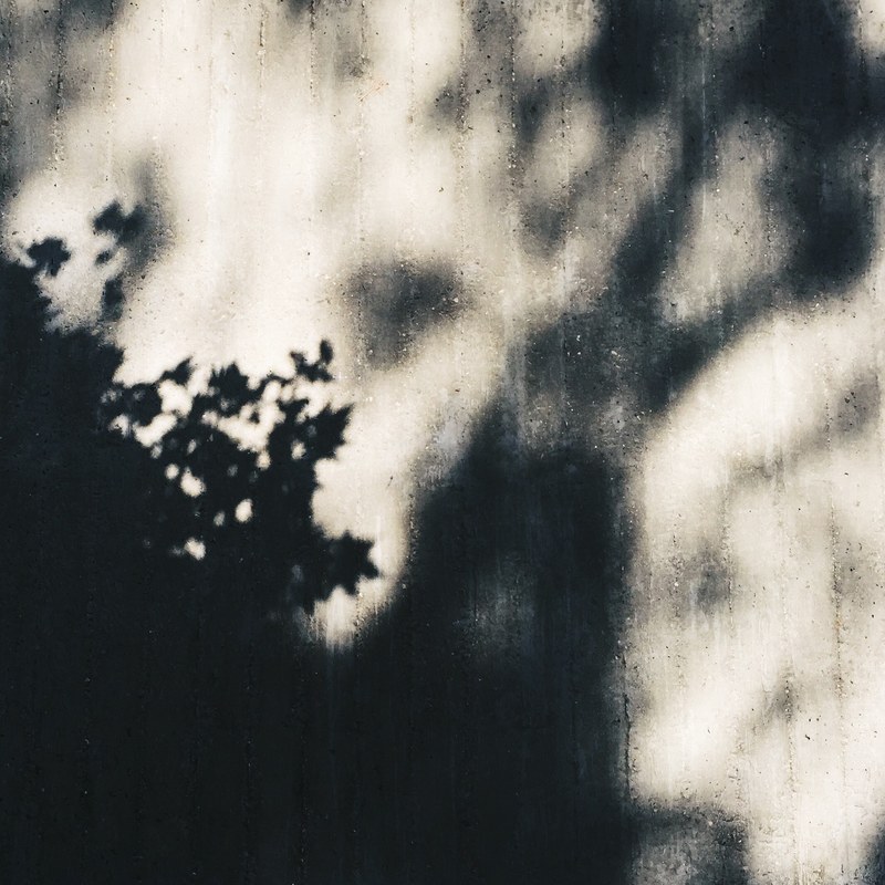 shadows fall on gray cement wall, shadows on cement wall 4k