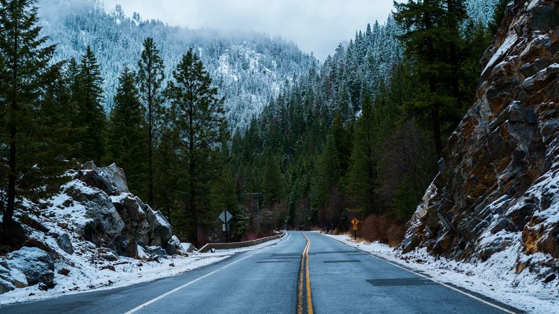 forest, road, snow, winter, 4k