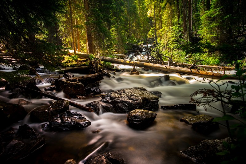 a frothy forest stream flows down a rocky bed, smooth forest creek 4k