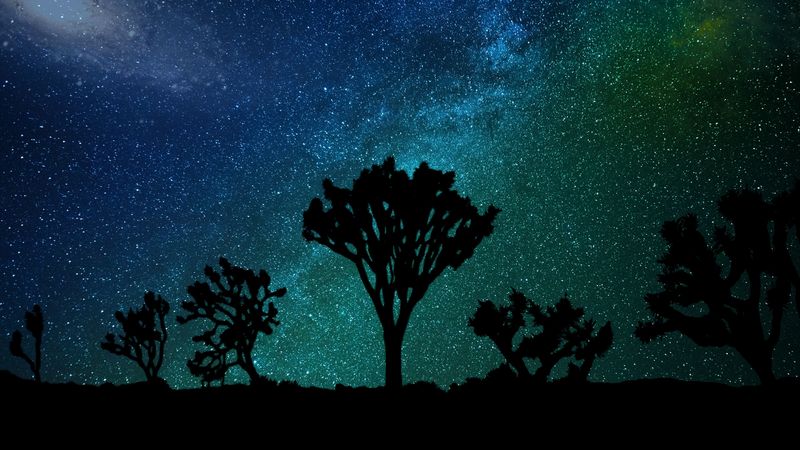 starry sky, milky way, joshua tree, 4k