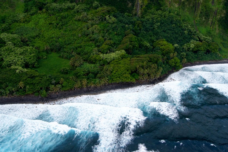 white crested waves crash against the tropical shore in hawaii, white waves in hawaii 4k