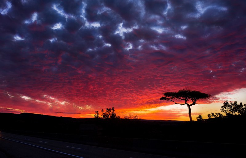 sunset beauty nature and red 4k