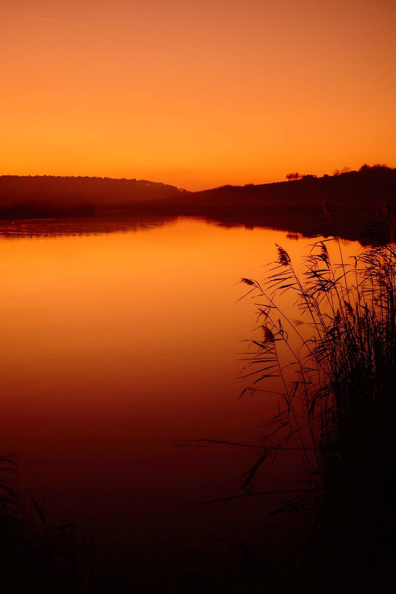 hiking hill reed and orange hd, 4k