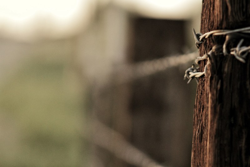 close up of a wooden post with barbed wire attached to it, barbed wire post 4k