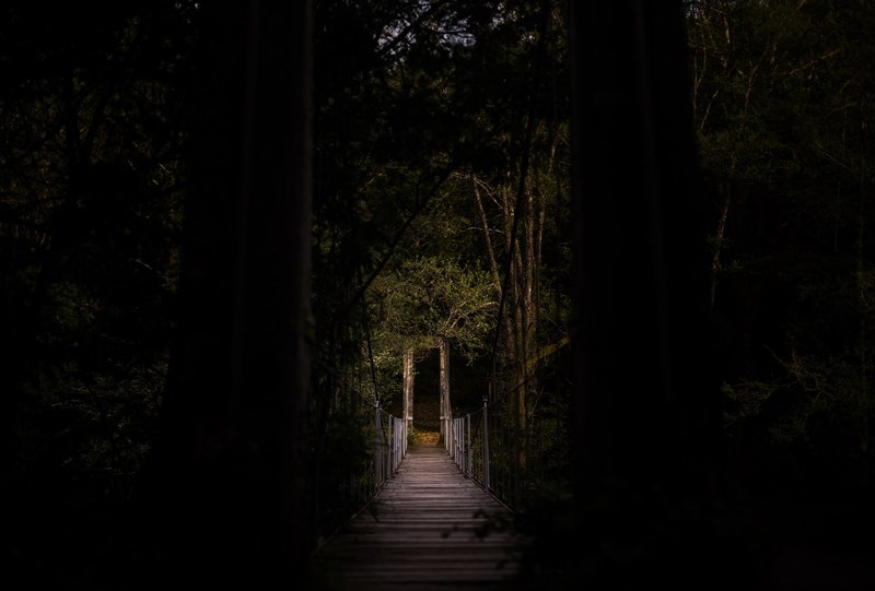 a wooden suspension bridge in a dark forest, dark suspension bridge 4k