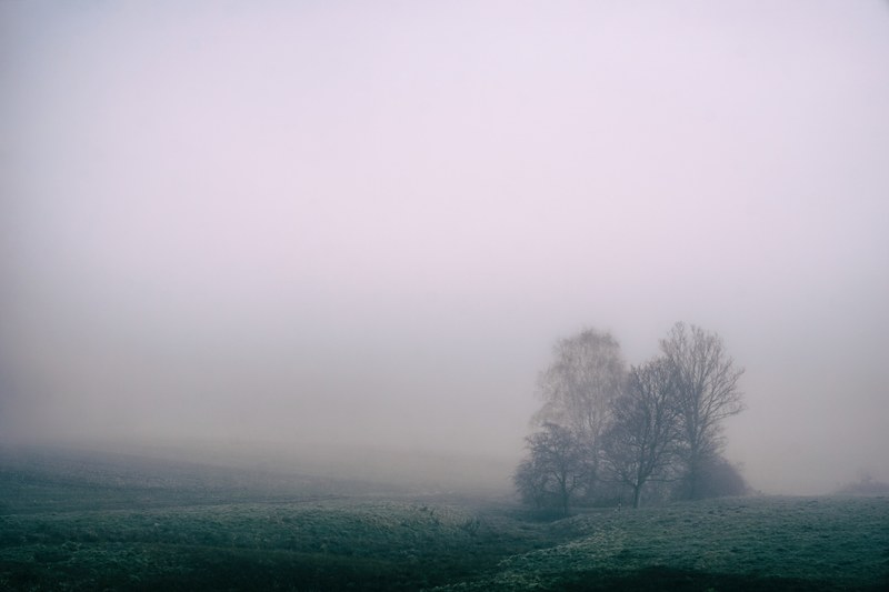 a foggy field with a gray misty sky, foggy field 4k