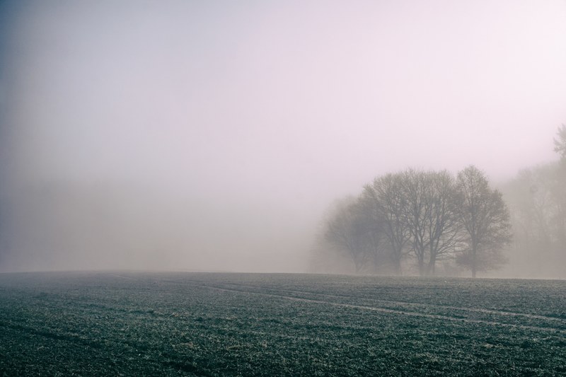 fog covers a desolate farm field on a misty day, foggy farm fields 4k