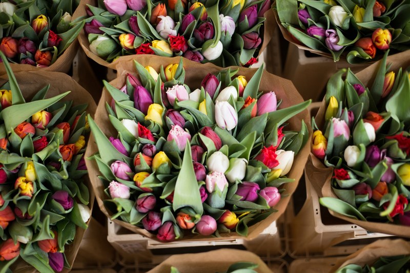 an overhead shot of colorful tulips in bouquets wrapped in brown paper, tulips at an amsterdam flower market 4k
