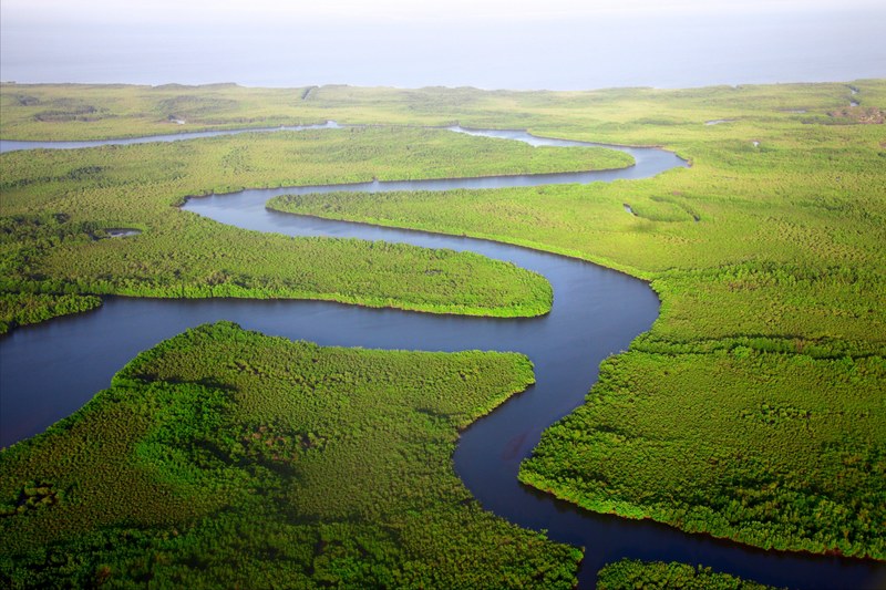 a drone shot of a meandering river surrounded by green forests in the gambia, virgin forests around a river 4k