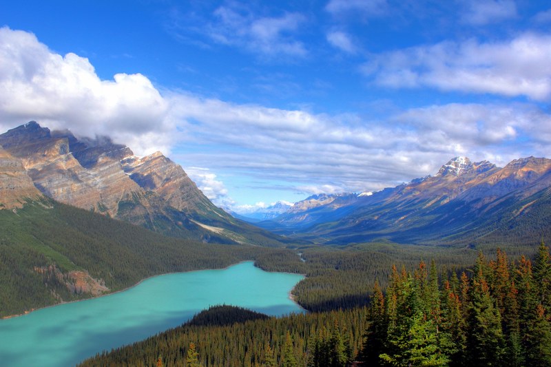 a long shallow water near the three pronged peyto lake in alberta, valley near beautiful lake 4k