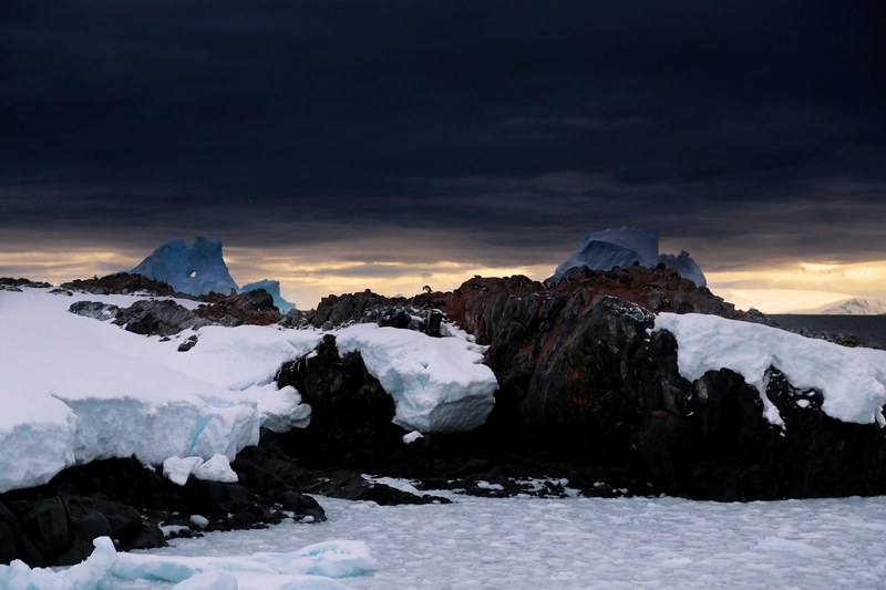 lone penguin 4k