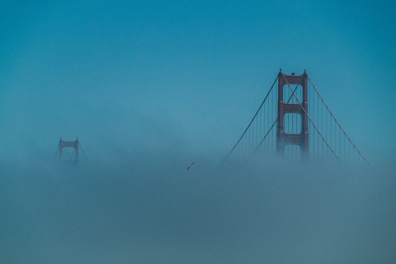 golden gate bridge peeks through blue fog, hide and seek bridge 4k