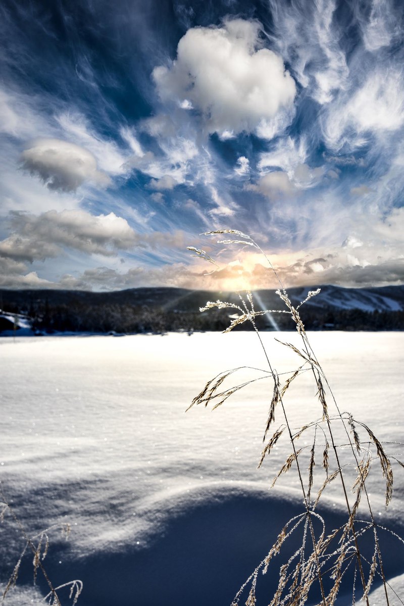 sun hd, 4k