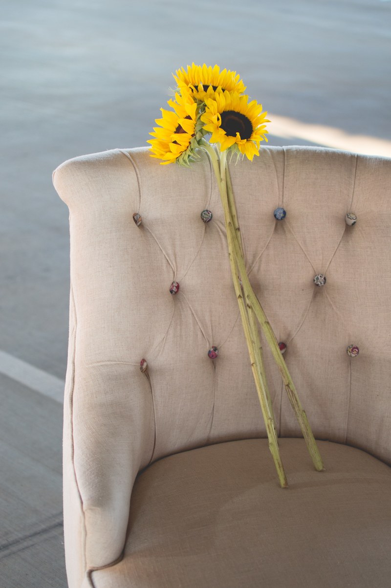 three sunflowers on long stems in an armchair, sunflowers in an armchair 4k