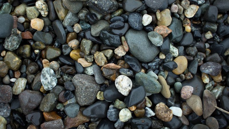 stones, sea, wet, 4k