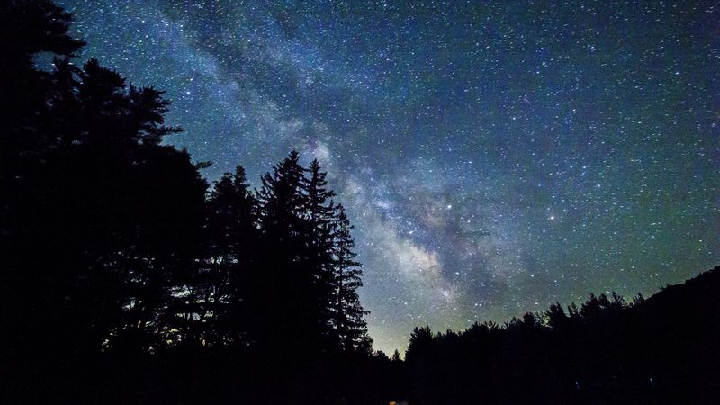 starry sky, trees, galaxy, 4k