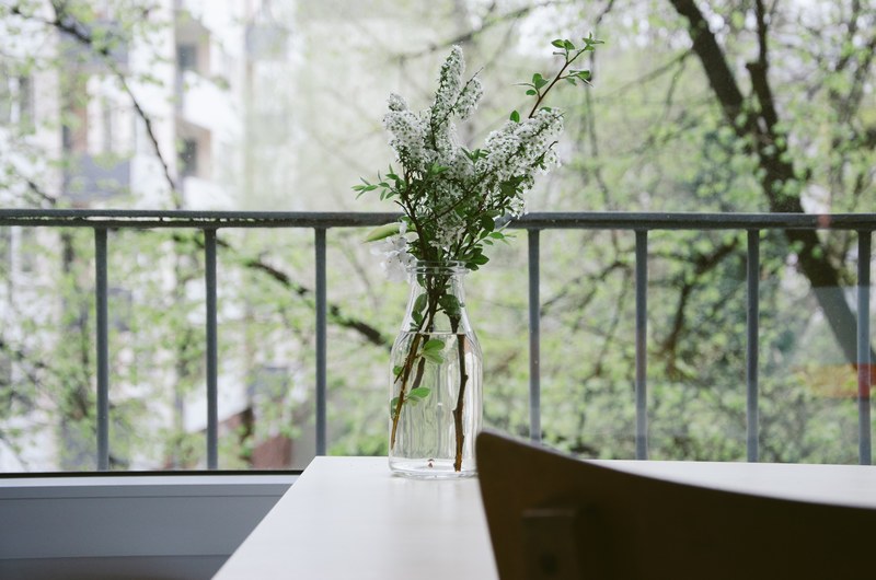 green and white flowers in a transparent glass vase for interior decorations, _flowers in a glass vase 4k
