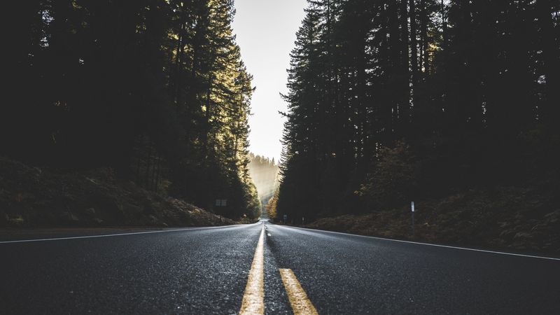 road, marking, trees, sky, 4k