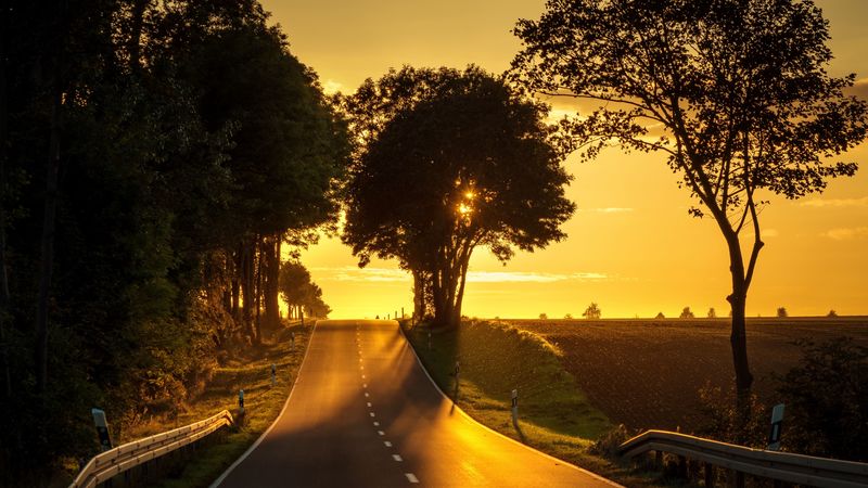 road, sunset, climb, trees, 4k