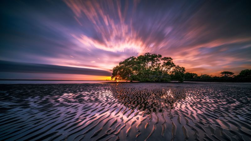 tree, sunrise, water, colorful, 4k