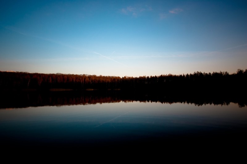 silhouettes of trees reflected in a still lake in the evening, evening over a lake 4k