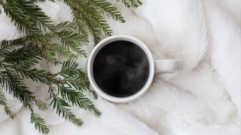 coffee, spruce, needles, white, 4k
