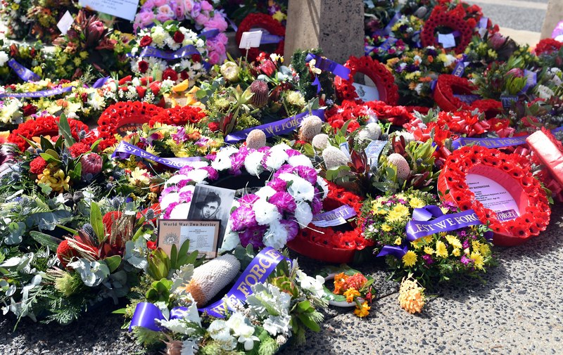 anzac war memorial flowers 4k