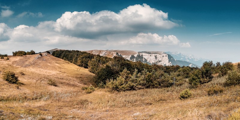 flat rocky mountains in the distance behind a small forest, flat granite mountains 4k