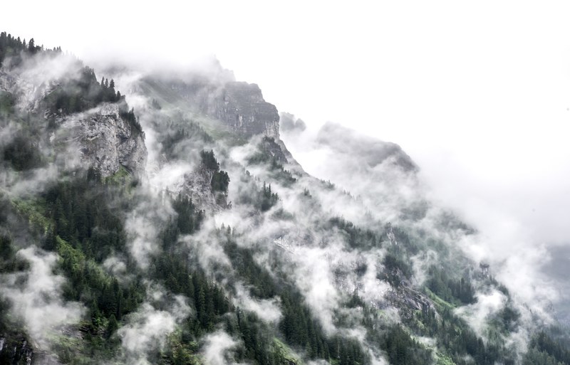view of the rocky and evergreen mountain side with the fog rising near mrren, rocky and foggy mountain side 4k