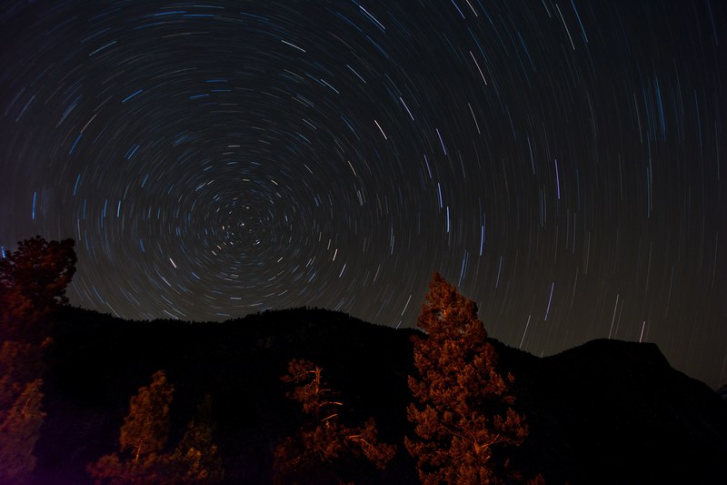 star star movement night sky and tree 4k