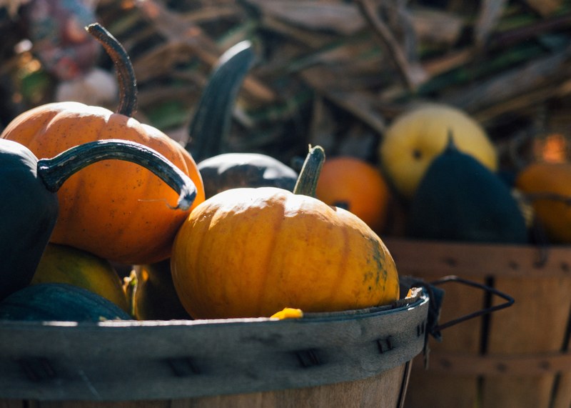 a macro view of a wooden bucket with a ribbon round it containing pumpkins of different colors in scotland, pumpkins in baskets 4k