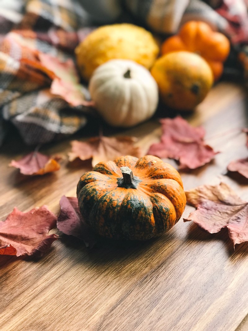 pumpkins gourds autum and fall hd, 4k