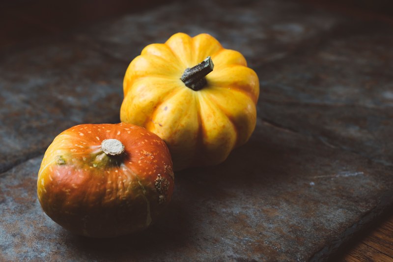 squash pumpkin mini pumpkin and halloween 4k