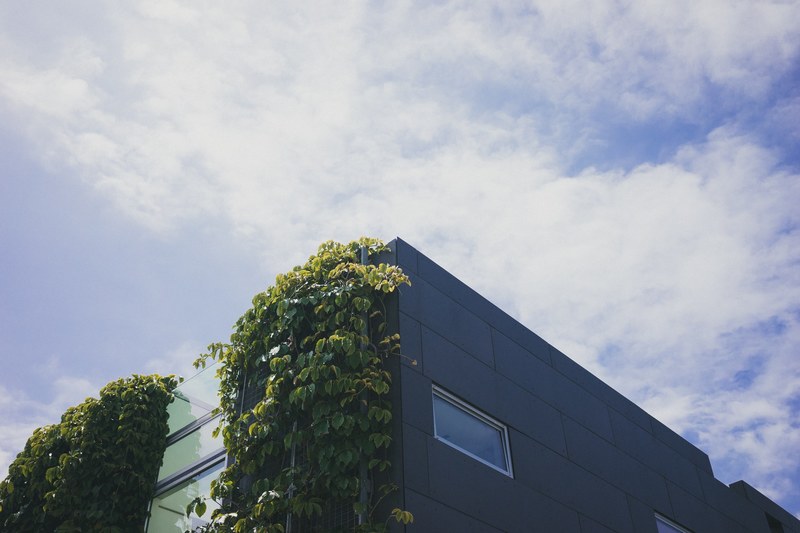 californium los angele sky and green 4k