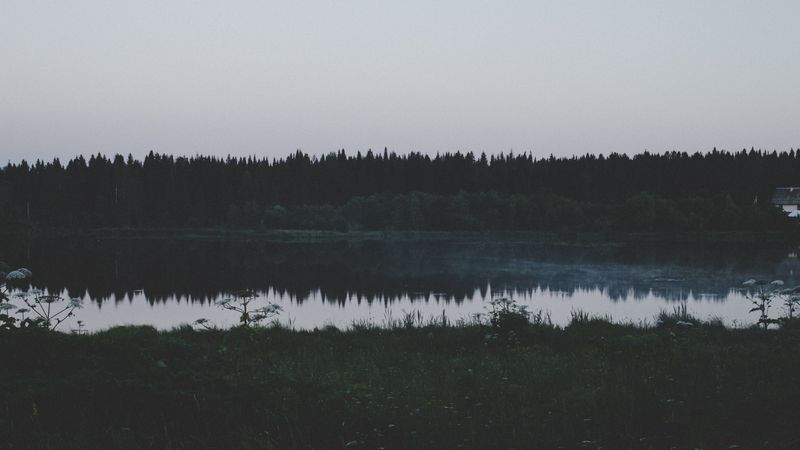 river, field, grass, trees, evening, 4k