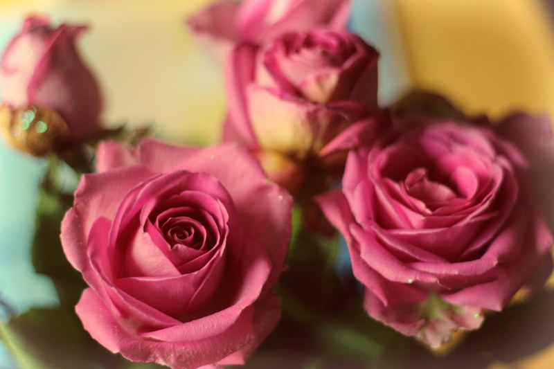 love vintage romantic and rose 4k