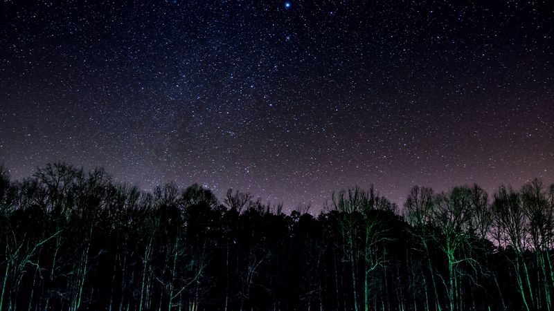 starry sky, trees, night, shine, 4k