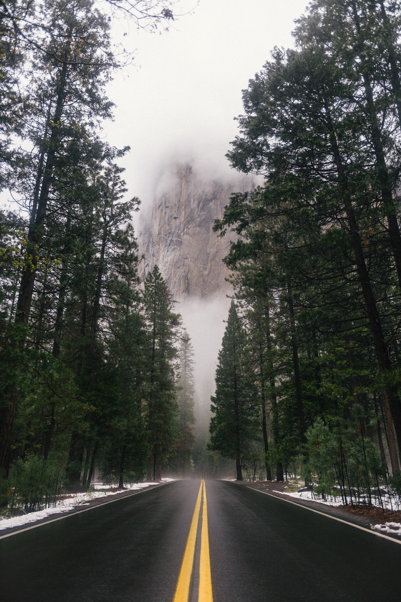 a tree lined road surrounded by fog in yosemite national park, wintry yosemite road 4k