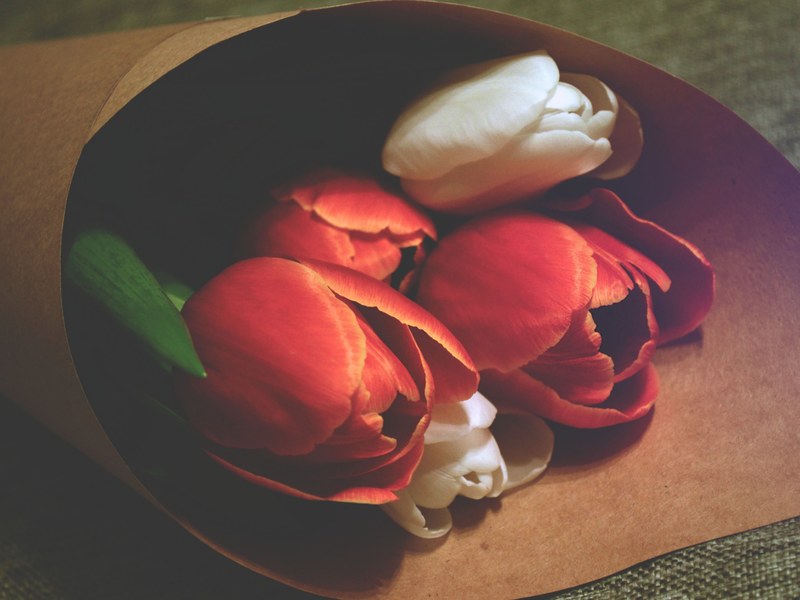 a close up bouquet of red and white tulips laying on green upholstery, white and red tulip bouquet 4k