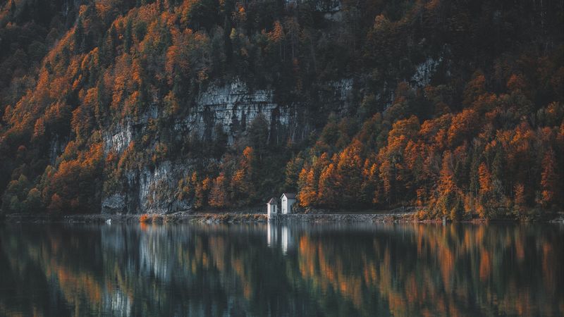 trees, mountain, lake, shore, 4k