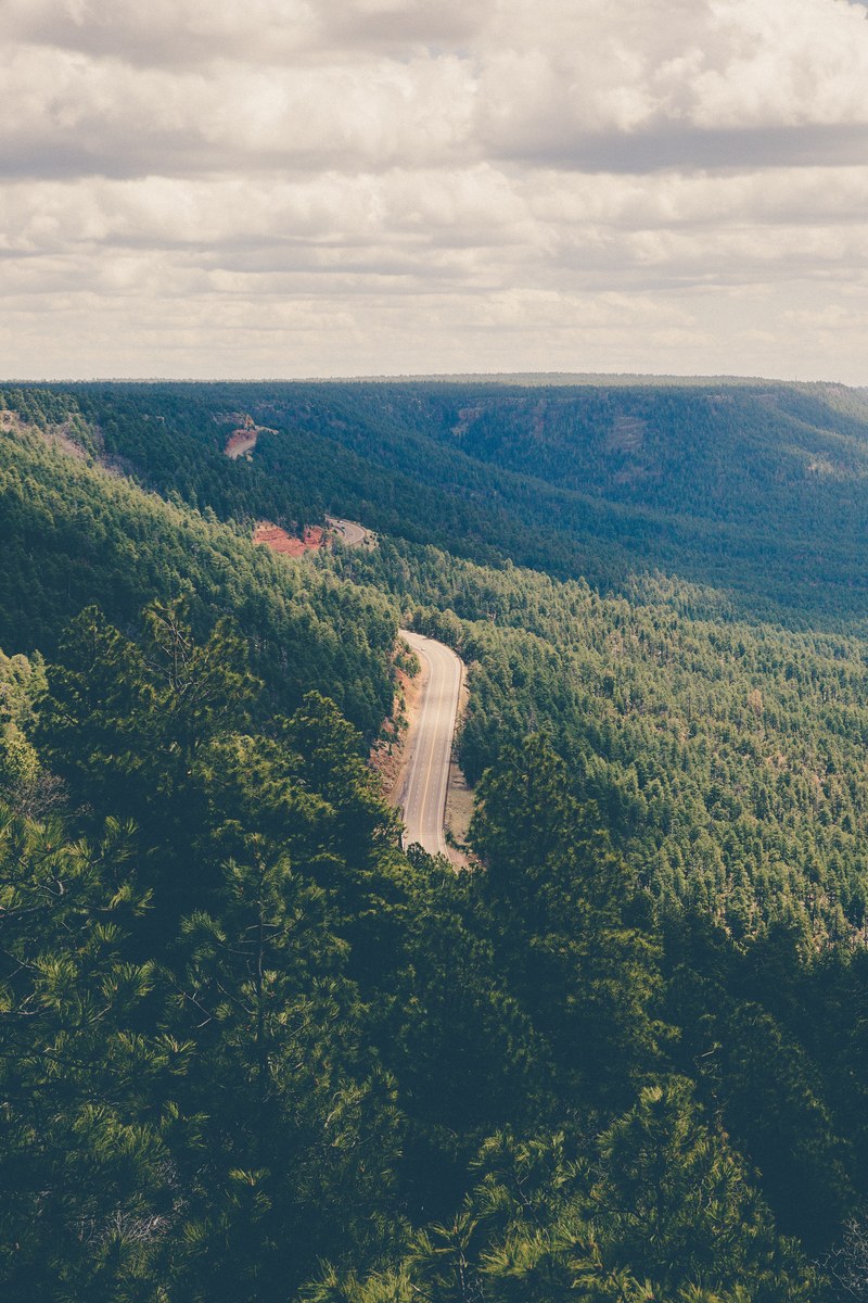 a drone shot of an asphalt road in a forest on a cloudy day, empty road through a forest 4k