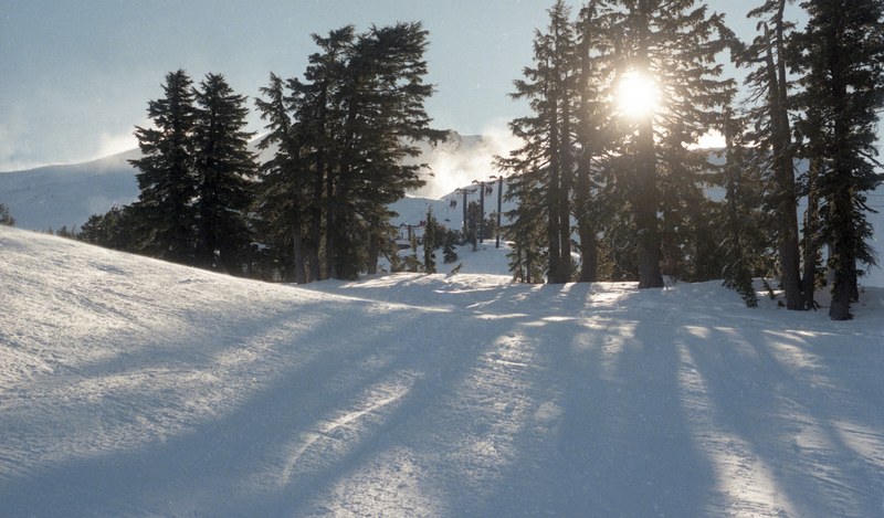 a snowy hill with trees along the sides and a sunlight breaking through, sunlight through the trees 4k