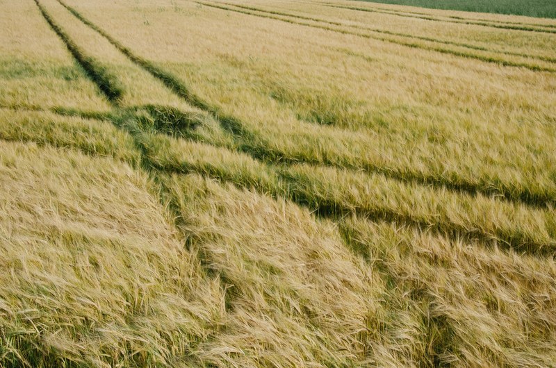 tractor tracks make a cross section in a grassy field, tracks in farmland 4k
