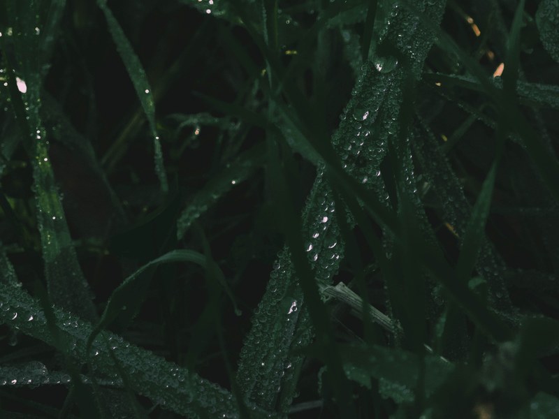 wallpaper material 4k