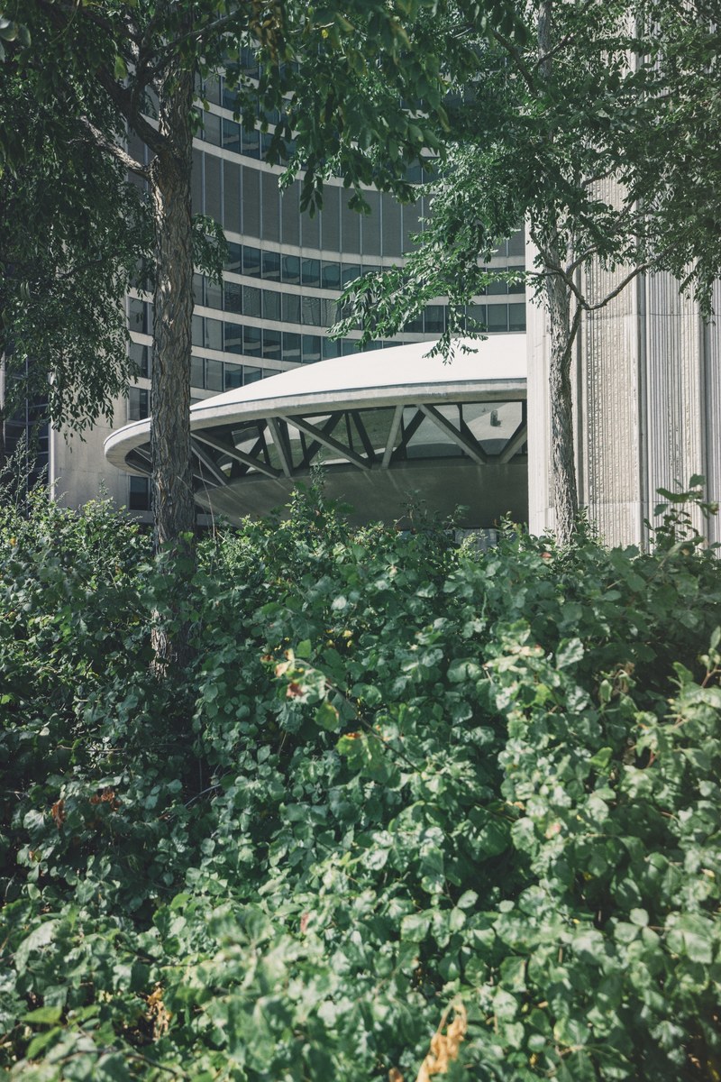 architecture building tree and concrete hd, 4k