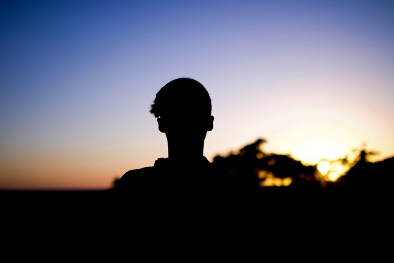 silhouette tree sunset and man 4k