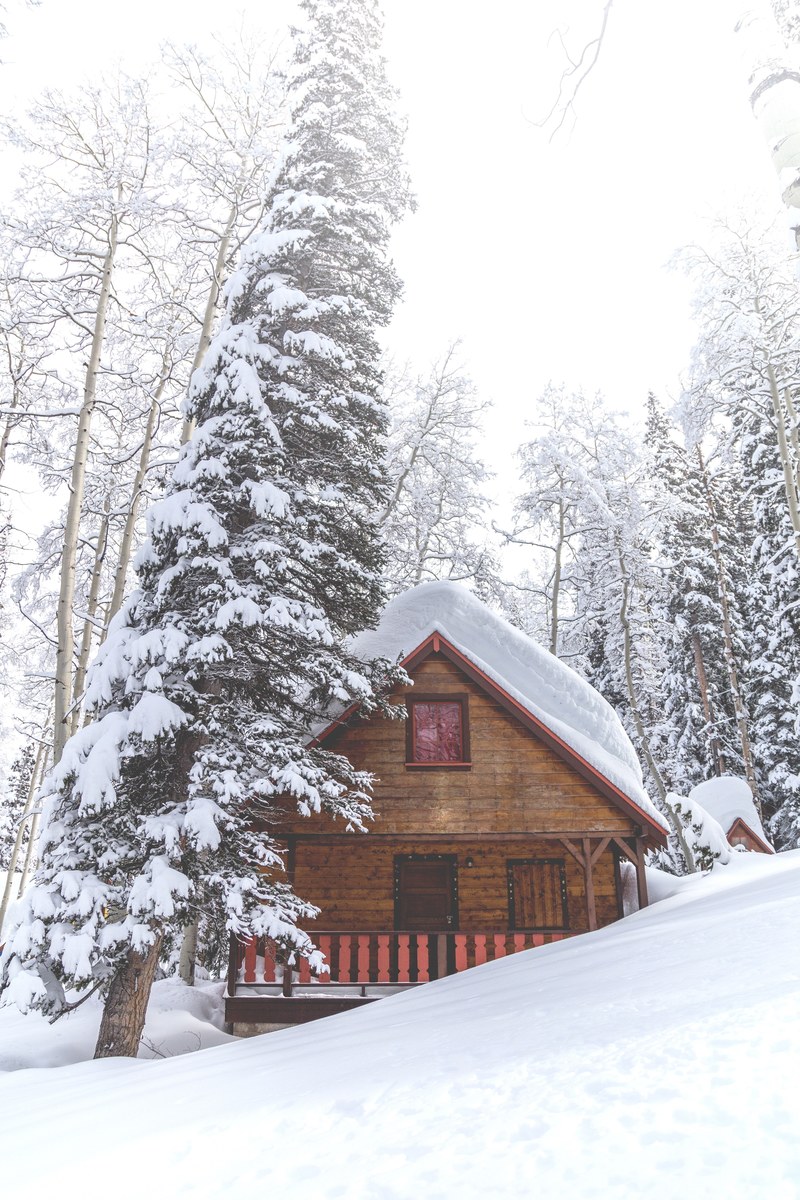 cabin in the woods 4k